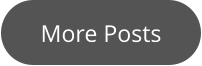 More Posts