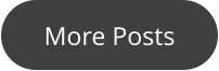 More Posts